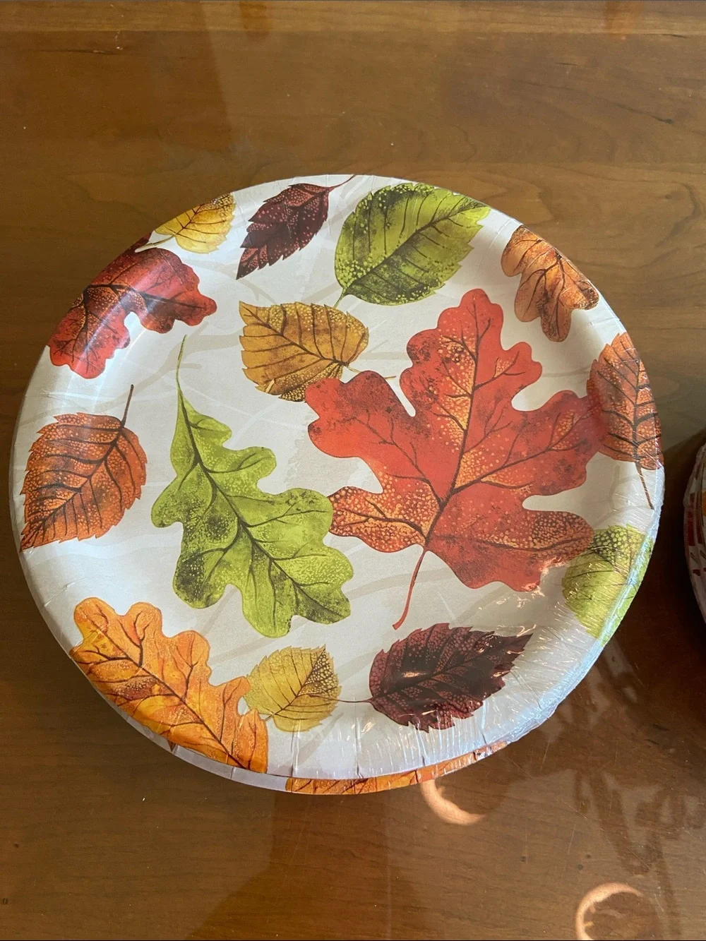 Autumn Leaf Disposable Paper Plates - Fall Harvest Design (Unbranded)
